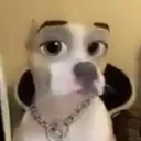 reel