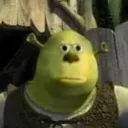 bruh_shrek_boi