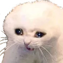catcrying