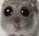 studsquish