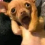 NHM_A7A Discord emoji