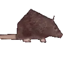 ratspinhorizontal