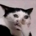 cry