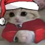CatBased