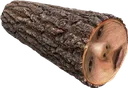 log