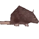ratspinhorizontalbrrrrrrr