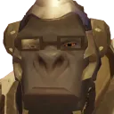 winStare winStare