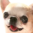 G8gg