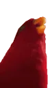 wuewuewue