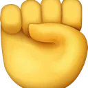fist