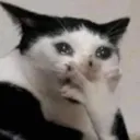 emoji_38