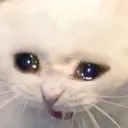 sad sad