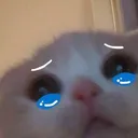 Michi_Sad