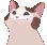 popcat