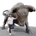 gibonBull