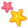 starfish
