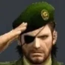 salute salute