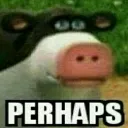perhaps perhaps