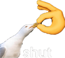 :shut: