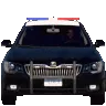 usa_police usa_police