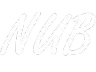 nub