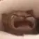 sobbingcat