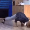 aminhoonthefloor
