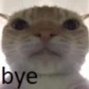 bye bye