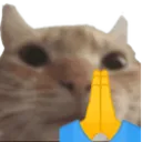 catpray