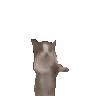 catjoy