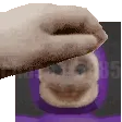 happypet