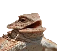 HeHeHe