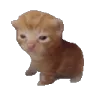 Robert