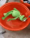 frogspin