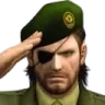 salute