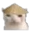 6ba_cat2 Discord Emoji