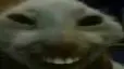 xdd xdd