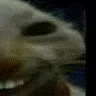Cat2XD