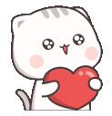 socute