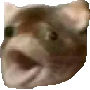 pograt