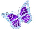 fbutterfly fbutterfly