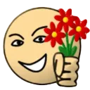 flowers flowers