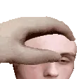 petthescalp