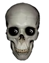 skulleomoji