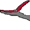 PteraBoredApex