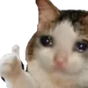 Catofthumbs Discord Emoji
