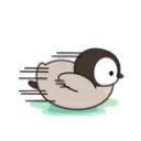dippingpengu