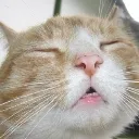 Catofsleepy Discord Emoji