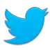 twitter twitter