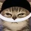 whitebeardcat